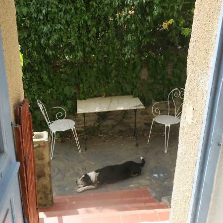 Apartment Chez Renee Banyuls-sur-Mer